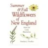 Summer & Fall Wildflowers Of New England By Marilyn Dwelley