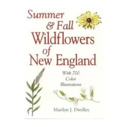 Summer & Fall Wildflowers Of New England By Marilyn Dwelley