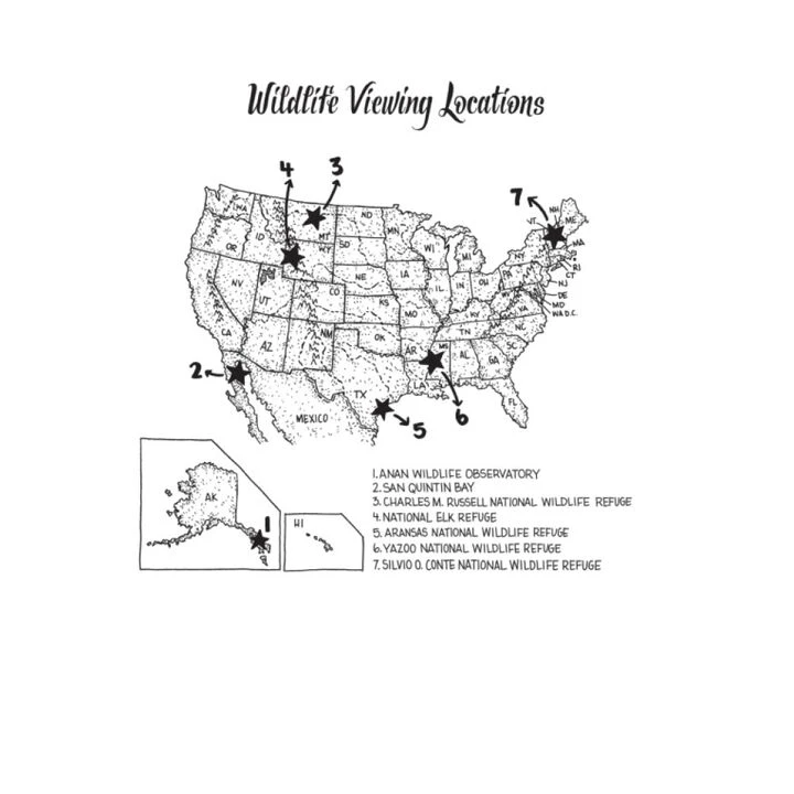 A Woman's Guide To The Wild: Your Complete Outdoor Handbook By Ruby McConnell 4 A Woman's Guide To The Wild: Your Complete Outdoor Handbook By Ruby McConnell - Image 4