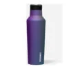 Corkcicle 20 Oz. Sport Canteen Insulated Bottle
