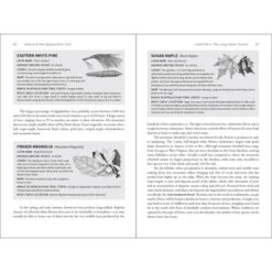 Nature Of The Appalachian Trail: Your Guide To Wildlife, Plants And Geology By Leonard M. Adkins -CampMate Shop 3335 4