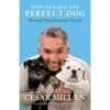 How To Raise The Perfect Dog: Through Puppyhood And Beyond By Cesar Millan & Melissa Jo Peltier