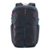 Patagonia Refugio 26 Liter Backpack
