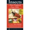 Insects Of New England & New York By Tom Murray