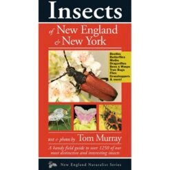 Insects Of New England & New York By Tom Murray