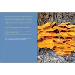 Start Mushrooming: The Reliable Way To Forage By Stan Tekiela -CampMate Shop 8390 3