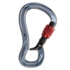 Black Diamond GridLock Screwgate Carabiner