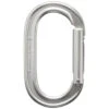 Black Diamond Oval KeyLock Carabiner