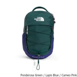 The North Face Borealis Mini 10 Liter Backpack 13 The North Face Borealis Mini 10 Liter Backpack -CampMate Shop Borealis Mini 10 Liter Backpack Ponderosa Green