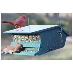 Audubon Original Bird's Delight Squirrel-Resistant Bird Feeder
