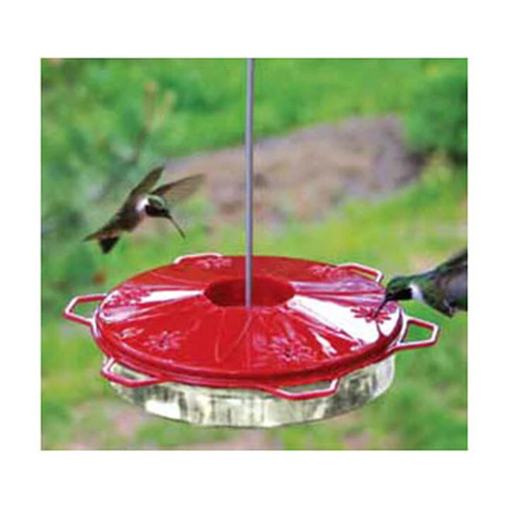 Audubon Classic Hummingbird Dish Bird Feeder 1 Audubon Classic Hummingbird Dish Bird Feeder