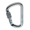 CAMP Steel D Screw Gate Carabiner