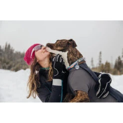 Ruffwear Cloud Chaser Waterproof Softshell Dog Jacket -CampMate Shop Cloud Chaser WP Softshell Dog Jacket 4