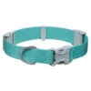 Ruffwear Confluence Waterproof Dog Collar