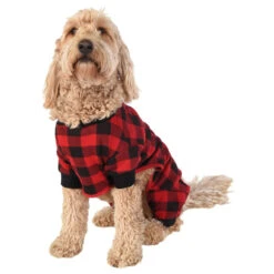 Lazy One Bear Cheeks Plaid Dog Onesie Flapjack -CampMate Shop Dog Flapjack Onesie 3
