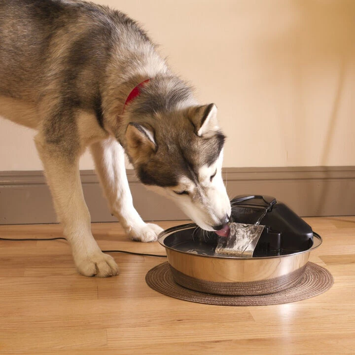 PetSafe Drinkwell Zen Pet Fountain 2 PetSafe Drinkwell Zen Pet Fountain - Image 2