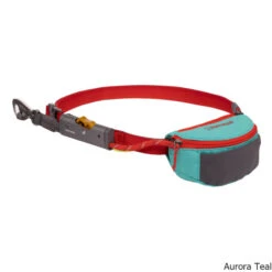 Ruffwear Hitch Hiker Dog Leash -CampMate Shop Hitch Hiker Dog Leash Teal