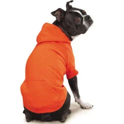 Zack & Zoey Basic Dog Hoodie