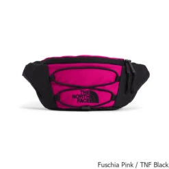 The North Face Jester 2.2 Liter Lumbar Pack -CampMate Shop Jester 2pt2 Liter Lumbar Pack Fuschia Pink