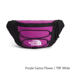 The North Face Jester 2.2 Liter Lumbar Pack -CampMate Shop Jester 2pt2 Liter Lumbar Pack Purple Cactus White