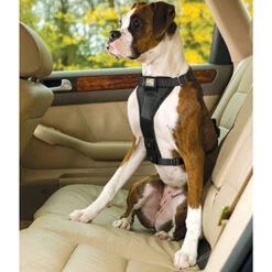 Kurgo Tru-Fit Enhanced Strength Dog Harness