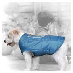 Kurgo Loft Dog Jacket