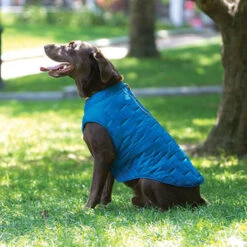 Kurgo Loft Dog Jacket -CampMate Shop KUR1316 Loft Dog Jacket 2