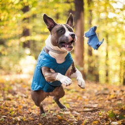 Kurgo Loft Dog Jacket -CampMate Shop KUR1316 Loft Dog Jacket 3