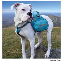 Kurgo Baxter Dog Backpack -CampMate Shop KUR1583 Baxter Dog Backpack Blue