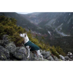 Kurgo Loft Reversible Dog Jacket -CampMate Shop Loft Reversible Dog Jacket 3