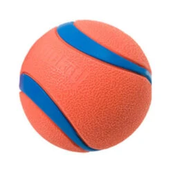 Chuckit! Ultra Ball Dog Toy - 2 Pk.