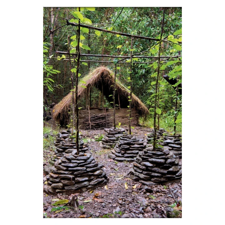 Primitive Technology: A Survivalist's Guide To Building Tools, Shelters, And More In The Wild By John Plant 2 Primitive Technology: A Survivalist's Guide To Building Tools, Shelters, And More In The Wild By John Plant - Image 2
