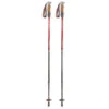 Mountainsmith Pyrite Anti-Shock Trekking Pole - 1 Pair