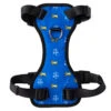 Life Is Good Rocket Dog Harness