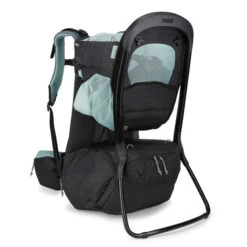 Thule Sapling Baby Backpack Child Carrier