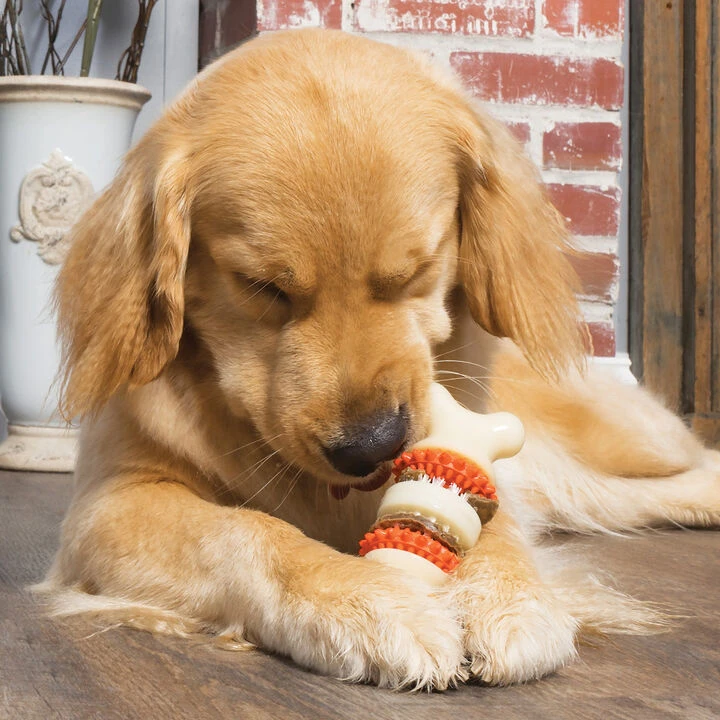PetSafe Sportsmen Bristle Bone Dog Toy 2 PetSafe Sportsmen Bristle Bone Dog Toy - Image 2
