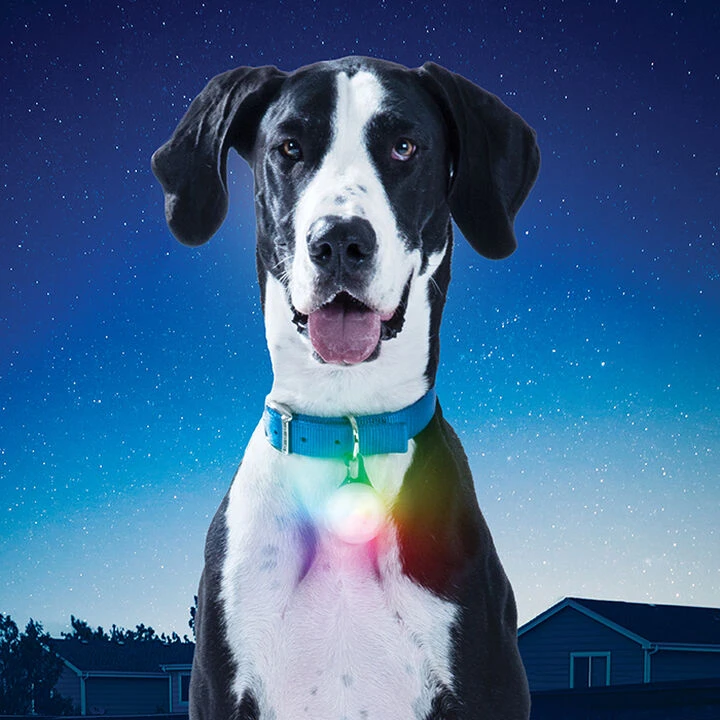 Nite Ize SpotLit XL Rechargeable Collar Light 2 Nite Ize SpotLit XL Rechargeable Collar Light - Image 2