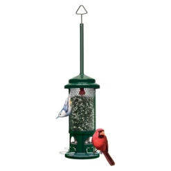 Brome Squirrel Buster Standard Wild Bird Feeder