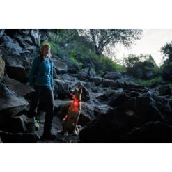 Ruffwear The Beacon 3-Color Rechargeable Safety Light -CampMate Shop The Beacon 3 Color Rechargeable Safety Light 4