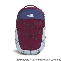 The North Face Women's Borealis 27 Liter Backpack 13 The North Face Women's Borealis 27 Liter Backpack -CampMate Shop Womens Borealis 27 Liter Backpack Boysenberry Blue