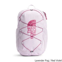 The North Face Youth Court Jester 24 Liter Backpack -CampMate Shop Youth Court Jester 24 Liter Backpack Lavender Fog