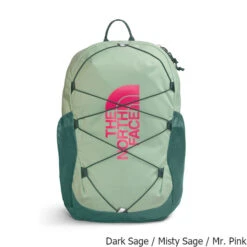 The North Face Youth Court Jester 24 Liter Backpack -CampMate Shop Youth Court Jester 24 Liter Backpack Sage Pink