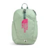 The North Face Youth Mini Recon 19.5 Liter Backpack